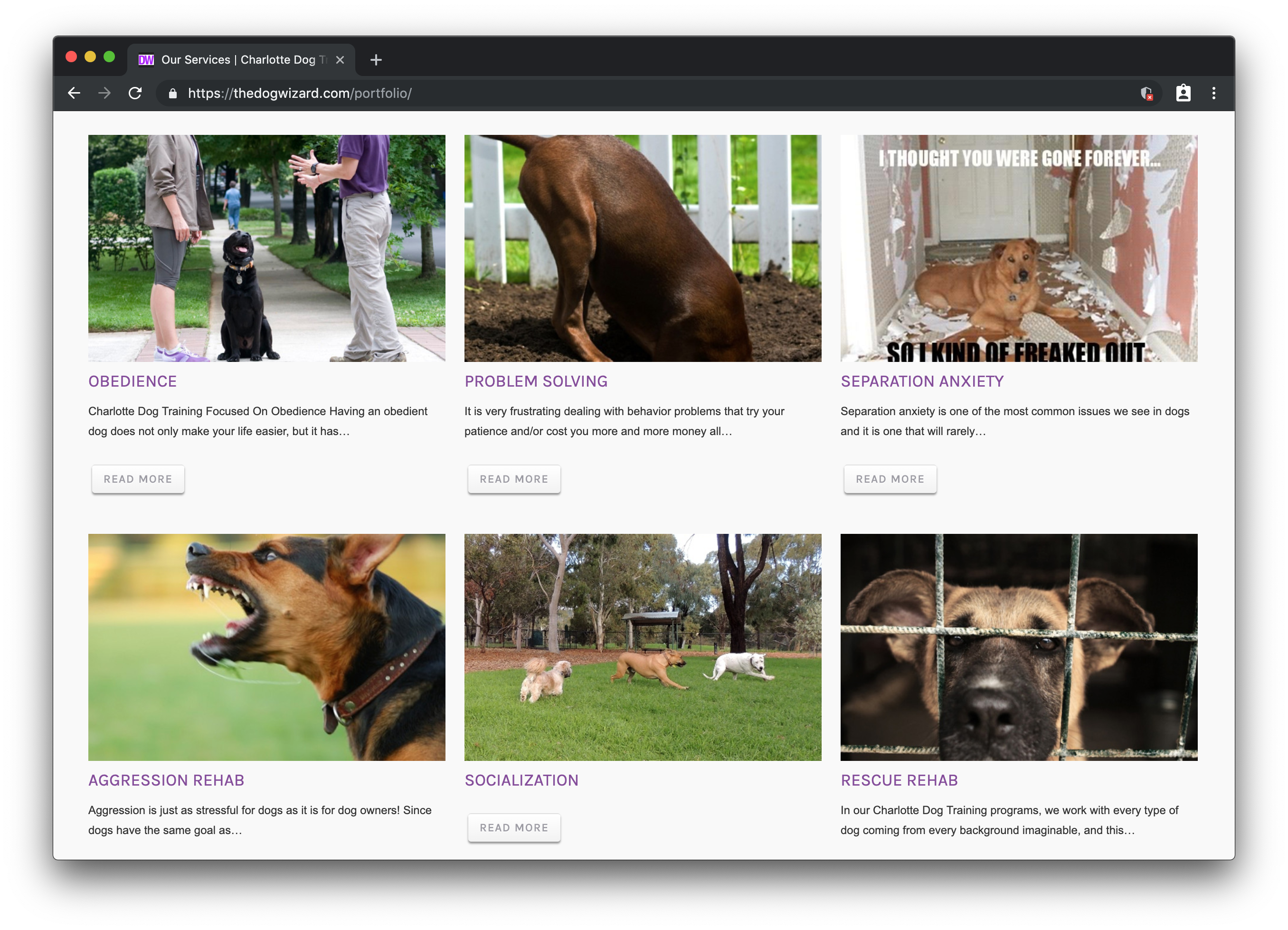 A screenshot of The Dog Wizard services webpage showing a 3 by 2 grid of images and headlines promoting dog services, like obedience, problem solving, and socialization.