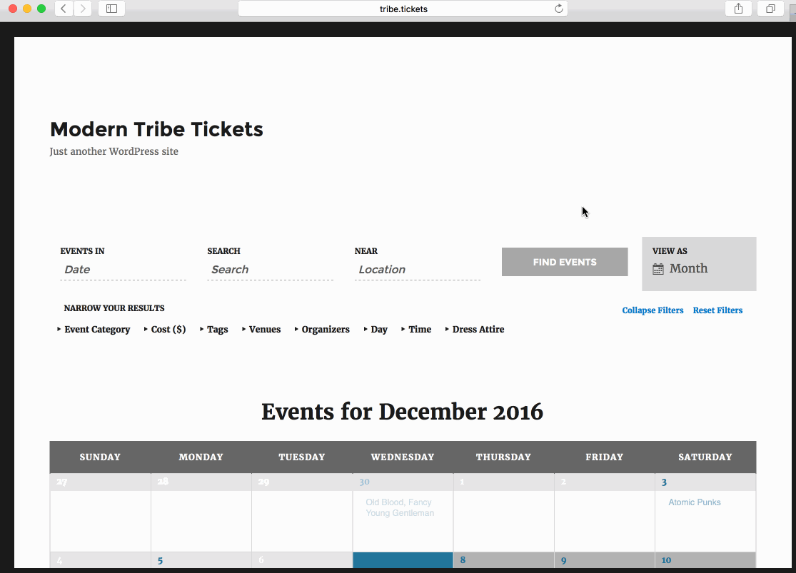 mt-support-filter-bar-safari